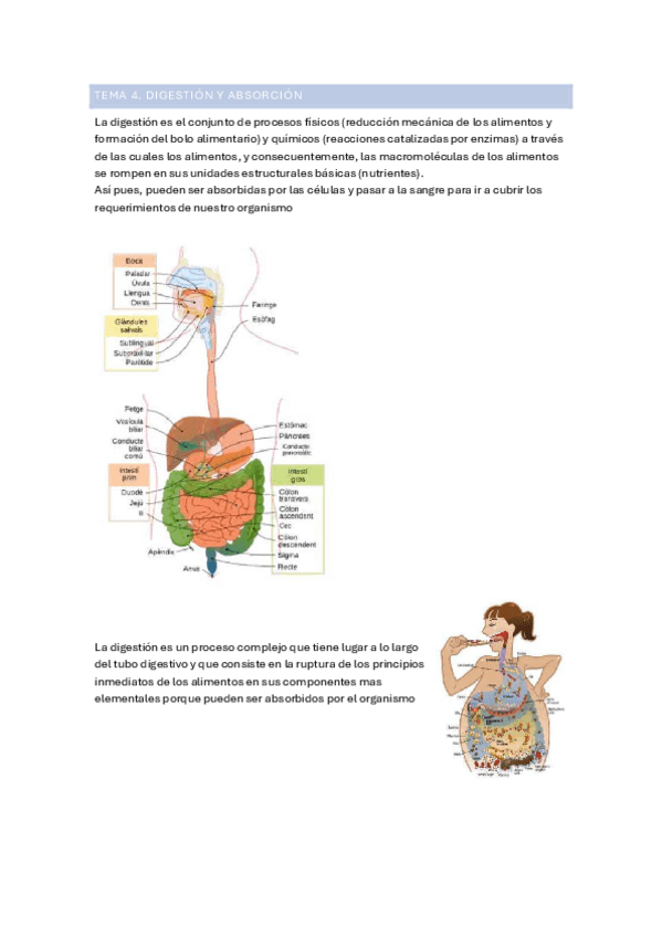 Miniatura del documento tema-4.docx.pdf