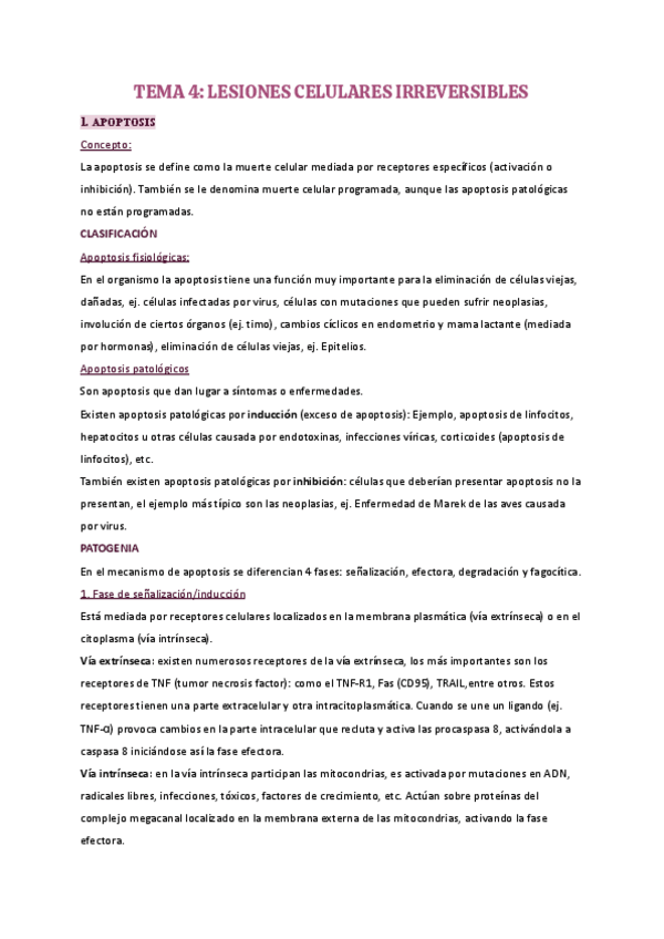 Miniatura del documento Tema-4.pdf