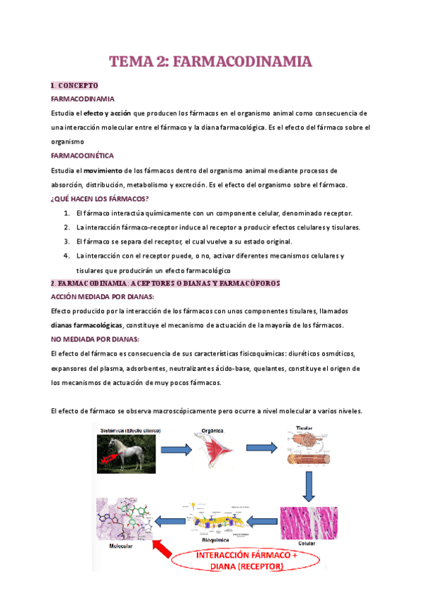 Miniatura del documento Tema-2-farma.pdf