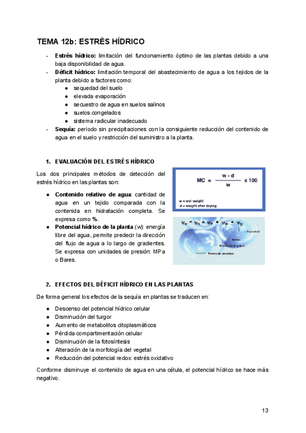 Miniatura del documento TEMA-12-fisio-vegetal-II.-Parte-2.pdf