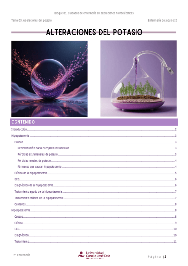 Miniatura del documento Resumen.-Alteraciones-del-potasio.pdf