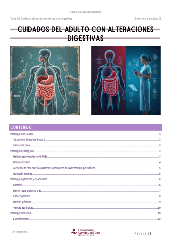 Miniatura del documento Resumen.-Cuidados-del-adulto-con-alteraciones-digestivas.pdf