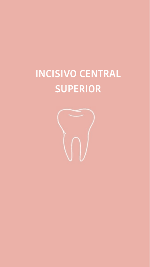 Miniatura del documento Incisivo-central-superior.pdf