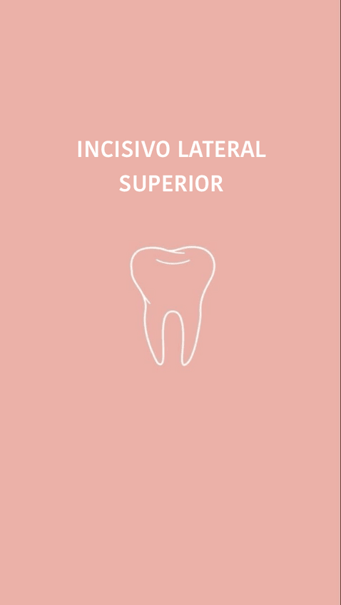 Miniatura del documento Incisivo-lateral-superior.pdf