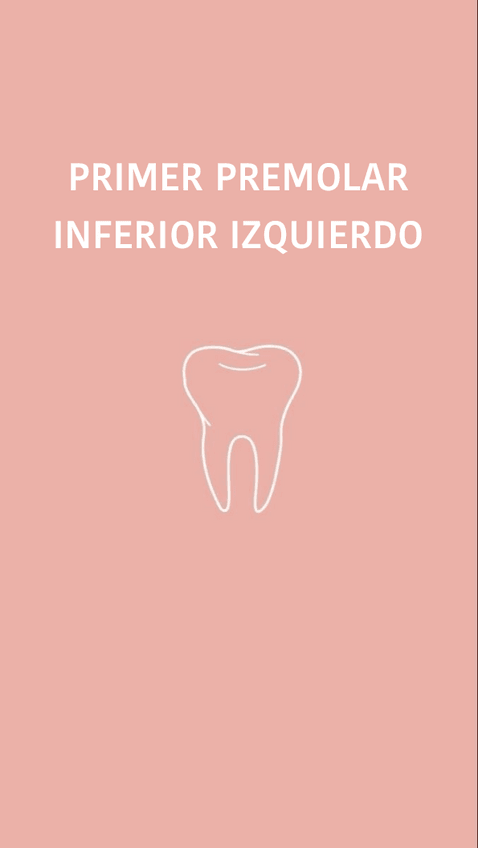 Miniatura del documento Primer-premolar-inferior-izquierdo.pdf