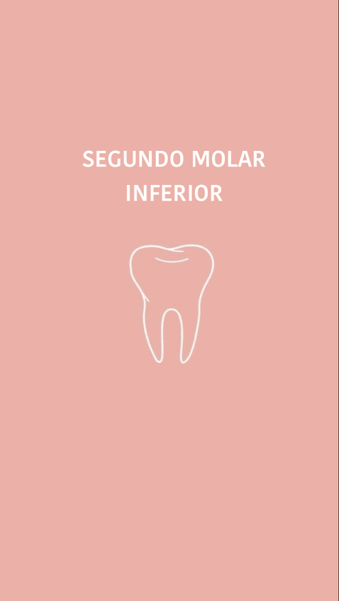 Miniatura del documento Segundo-molar-inferior.pdf