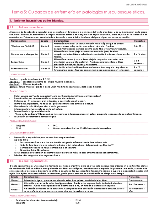 Miniatura del documento Sistema-musculo-esqueletico.pdf