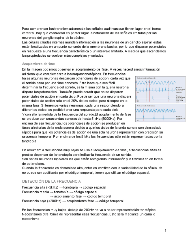 Miniatura del documento PBS-tema-2-parte-2.pdf