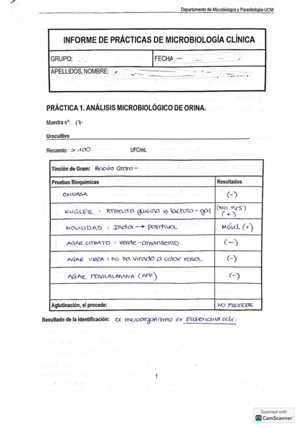 Miniatura del documento INFORME-DE-PRACTICAS-MICRO-CLINICA.pdf