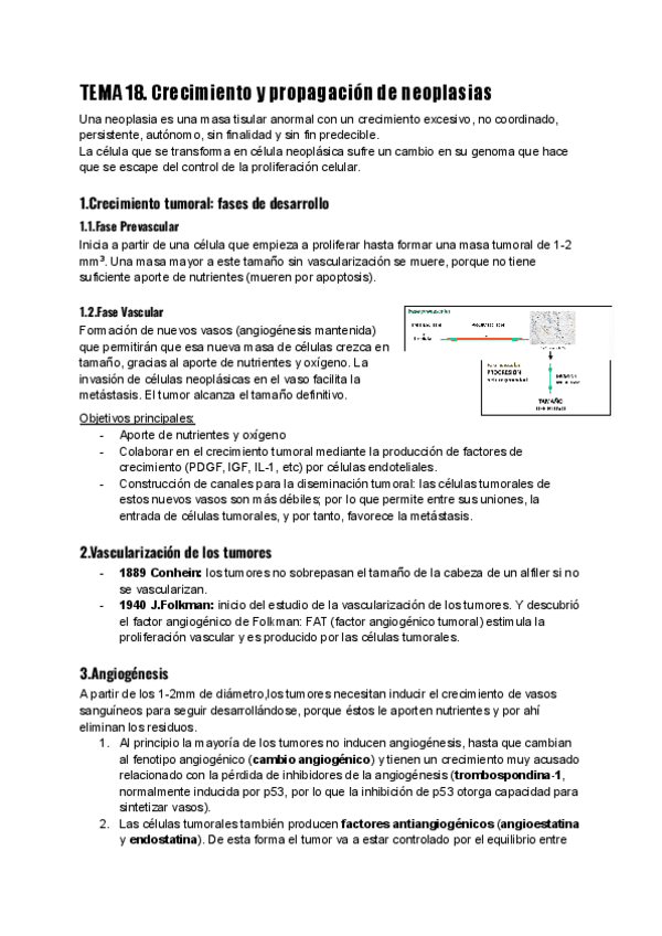 Miniatura del documento TEMA-18.-Matilde.pdf