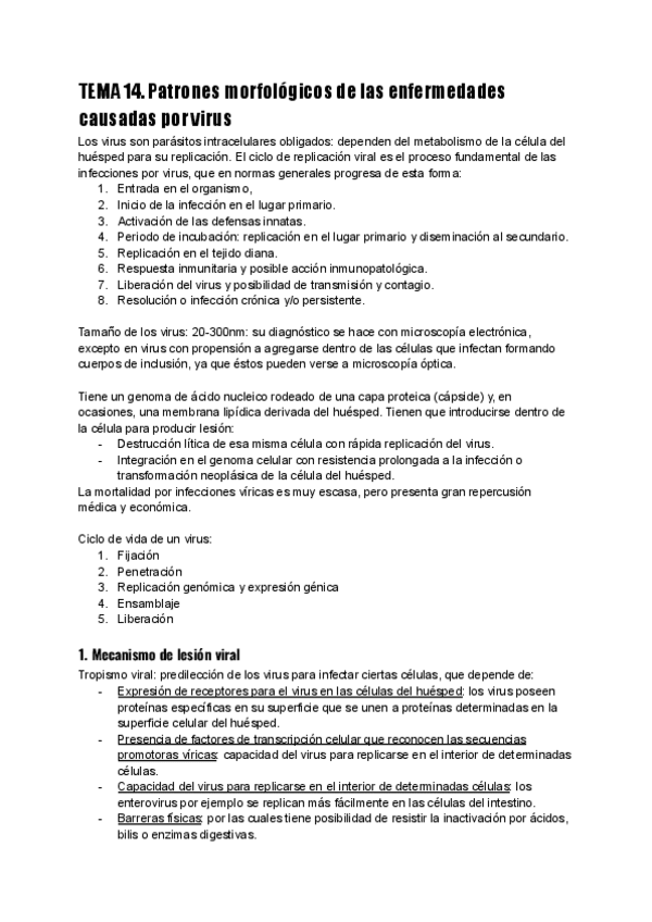 Miniatura del documento TEMA-14.-Matilde.pdf