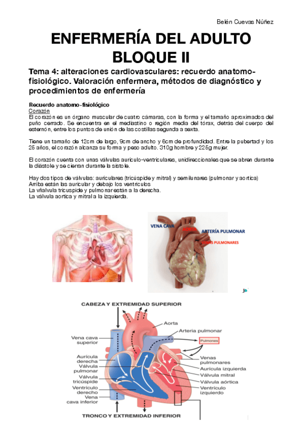 Miniatura del documento Enfermeria-de-las-personas-adultas-I-Bloque-II-Temas-4-Y-6-Villalba.pdf