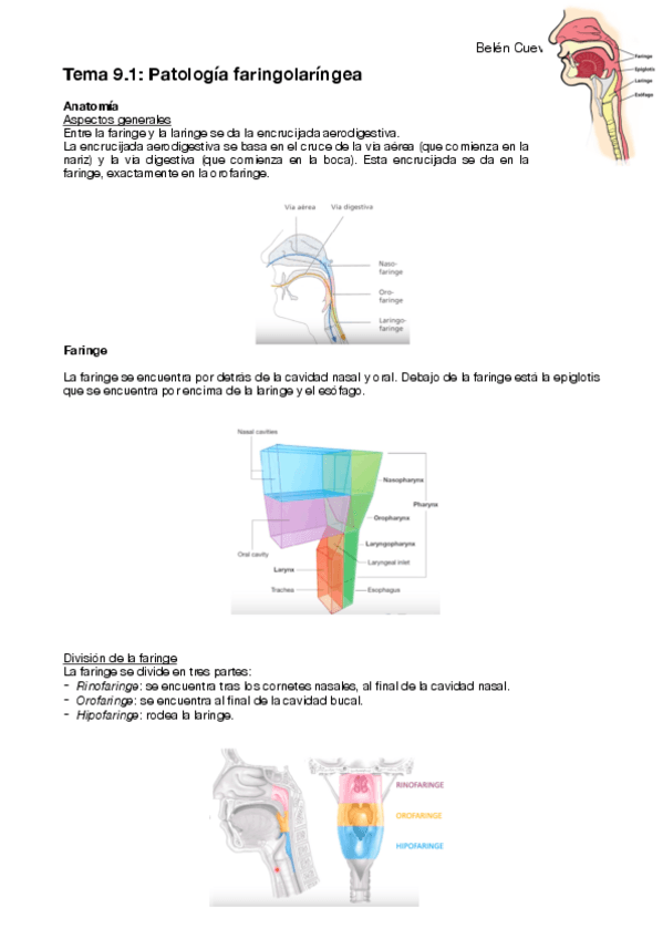 Miniatura del documento Enfermeria-de-las-personas-adultas-bloque-III-Temas-9.1-Y-9.4-Villalba.pdf