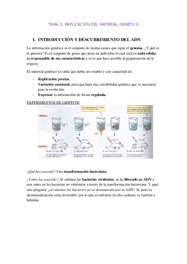 Miniatura del documento TEMA-2-genetica-molecular.docx