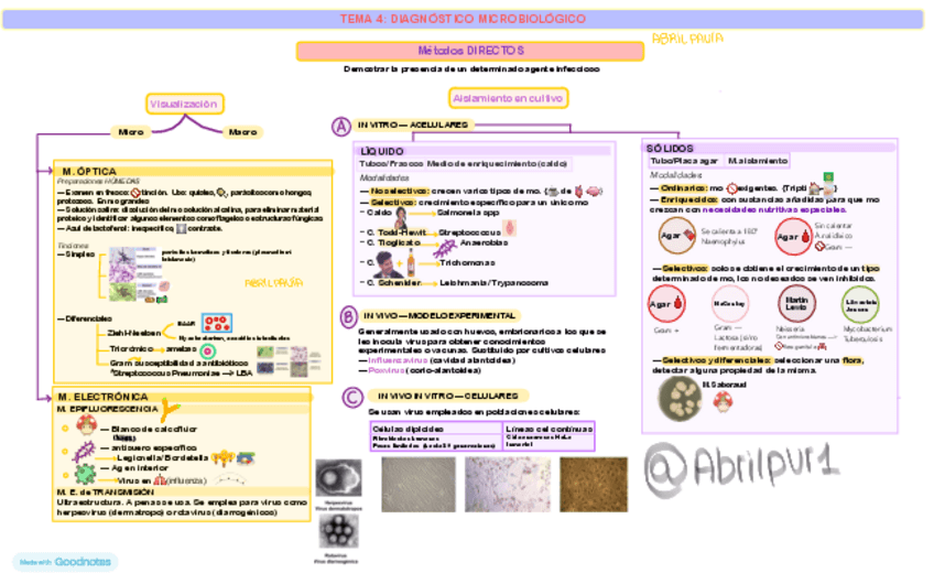 Miniatura del documento TEMA-4-DIAGNOSTICO-ESQUEMAS-APUNTES-HONGOS-BACTERIAS-VIRUS-PROTOZOOS.pdf