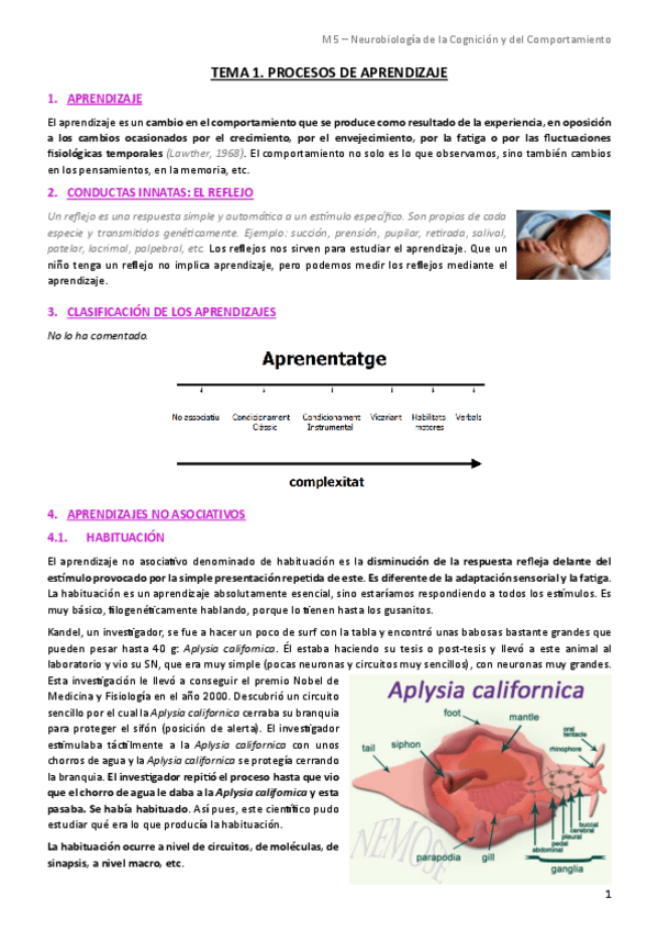 Miniatura del documento Tema-1.-Procesos-de-aprendizaje.pdf