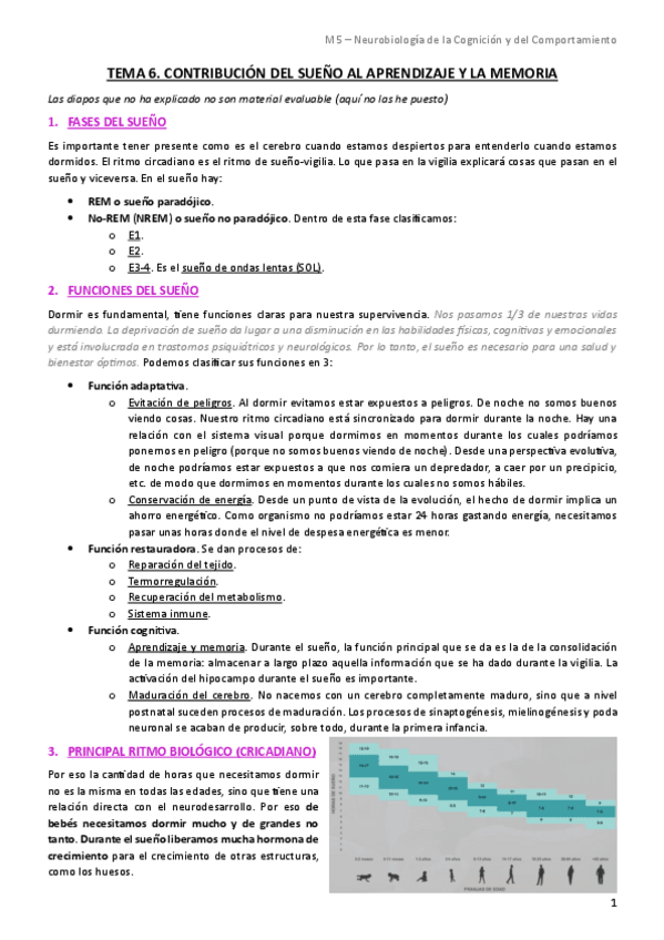 Miniatura del documento Tema-6.-Contribucion-del-sueno-al-aprendizaje-y-la-memoria.pdf