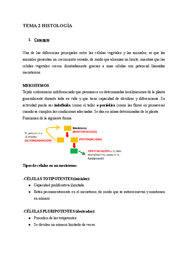 Miniatura del documento TEMA-2-HISTOLOGIA.pdf