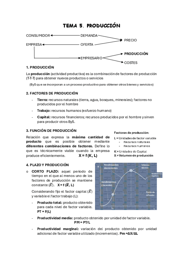 Miniatura del documento TEMA-5-PRODUCCION.pdf