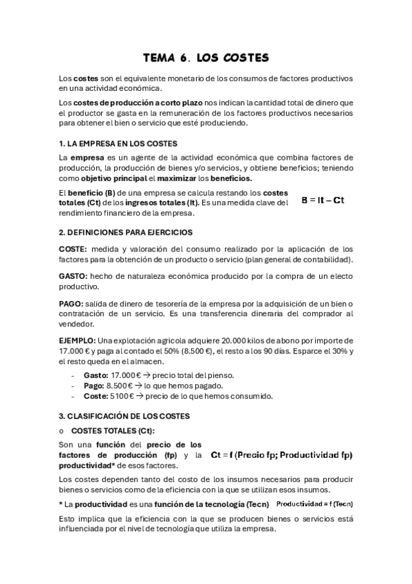 Miniatura del documento TEMA-6-LOS-COSTES.pdf