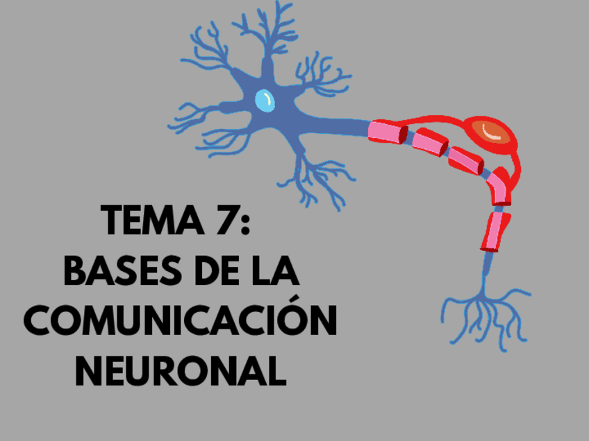 Miniatura del documento Power t7 bases de la comunicacion neuronal psicobiologia psicología uned.pdf