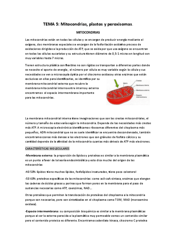 Miniatura del documento cito-tema-5.pdf