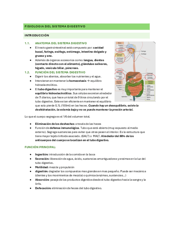 Miniatura del documento FCH-II-Digestivo.pdf