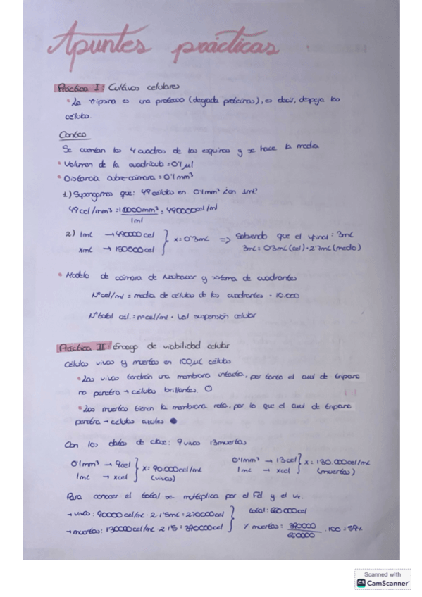 Miniatura del documento Todas-practicas.pdf