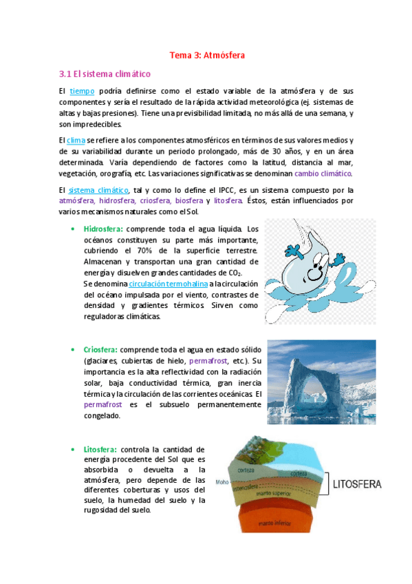 Miniatura del documento GSN-Tema-3.pdf