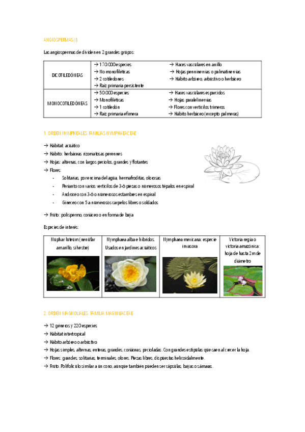 Miniatura del documento ANGIOSPERMAS.pdf