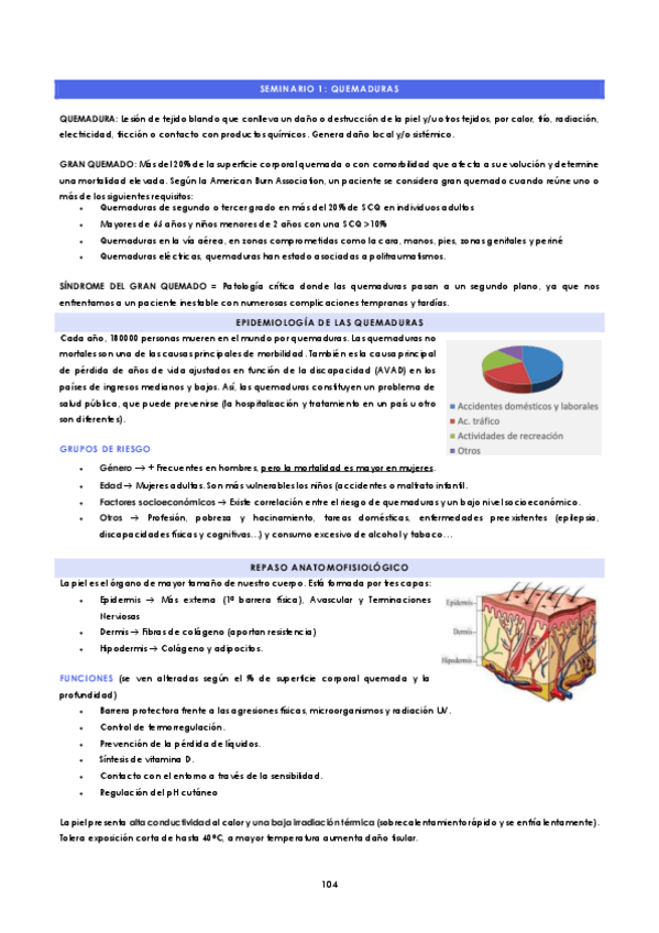Miniatura del documento SEMINARIO-1-Quemaduras.pdf