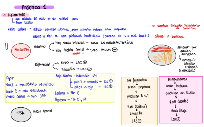 Miniatura del documento apuntes-examen-practicas.pdf