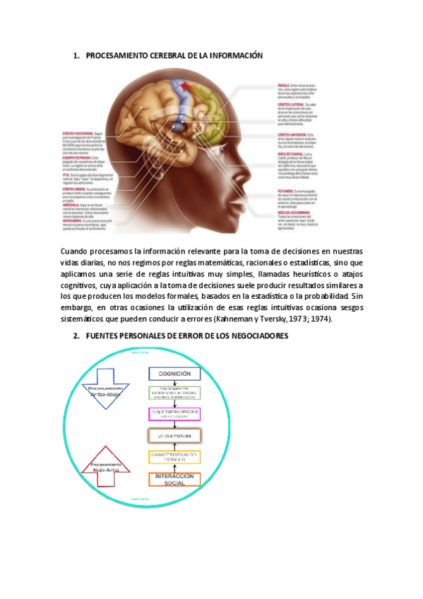 Miniatura del documento PROCESAMIENTO-CEREBRAL-DE-LA-INFORMACION.pdf