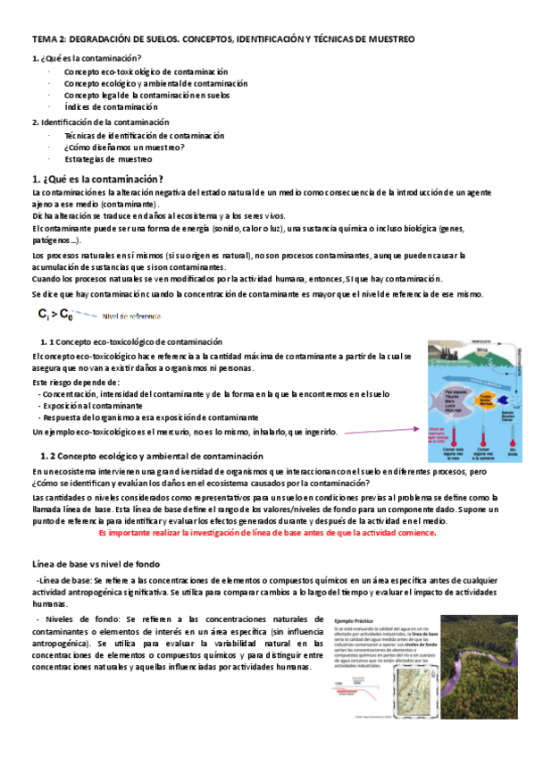 Miniatura del documento TEMA-2-Degradacion-de-suelos.-Conceptos-identificacion-y-tecnicas-de-muestreo.pdf