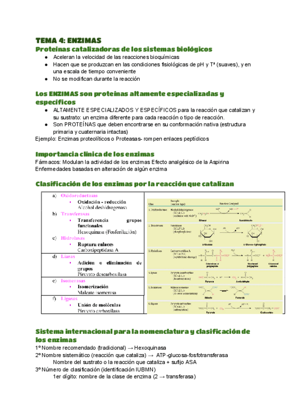Miniatura del documento TEMA-4-BIOQUIMICA.pdf