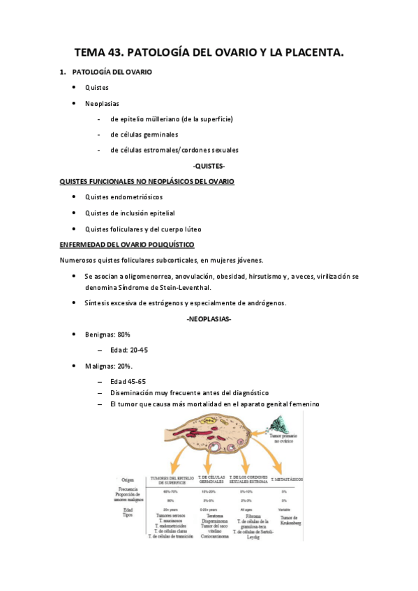 Miniatura del documento Tema 43.pdf