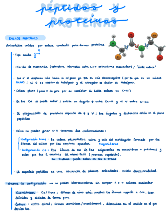 Miniatura del documento Peptidos-y-Proteinas.pdf