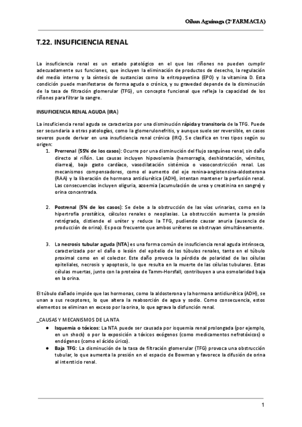 Miniatura del documento T.22.-INSUFICIENCIA-RENAL.pdf