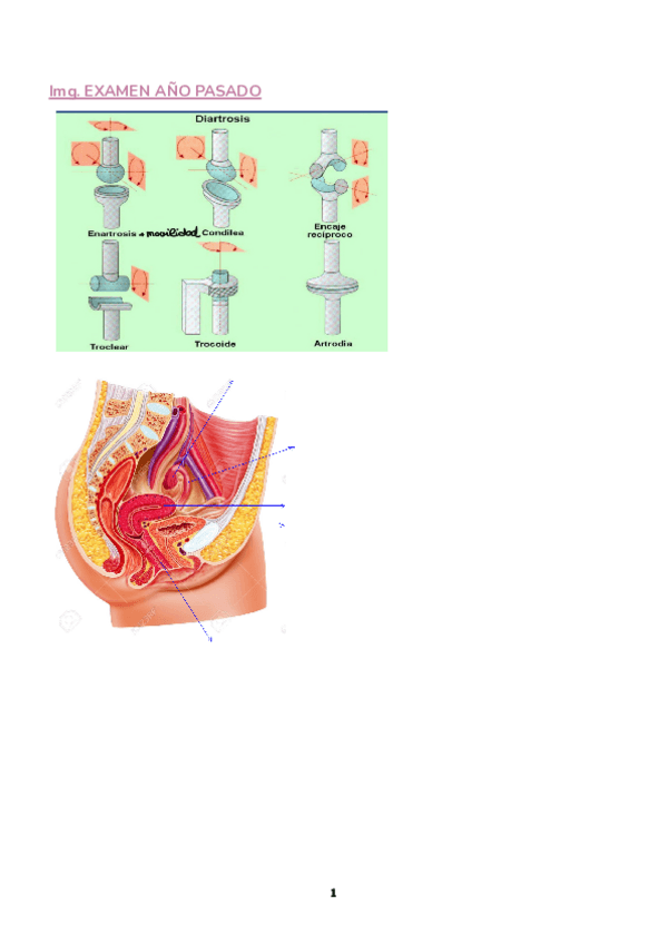 Miniatura del documento PREGUNTAS-ANATOMIA-GENERAL.pdf