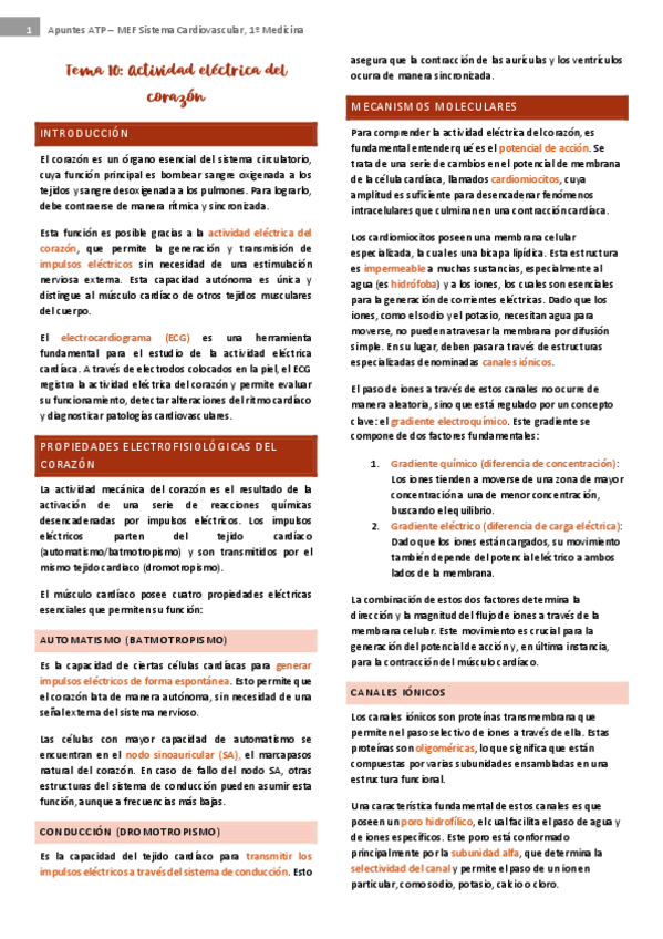 Miniatura del documento tema-10-cardio.pdf