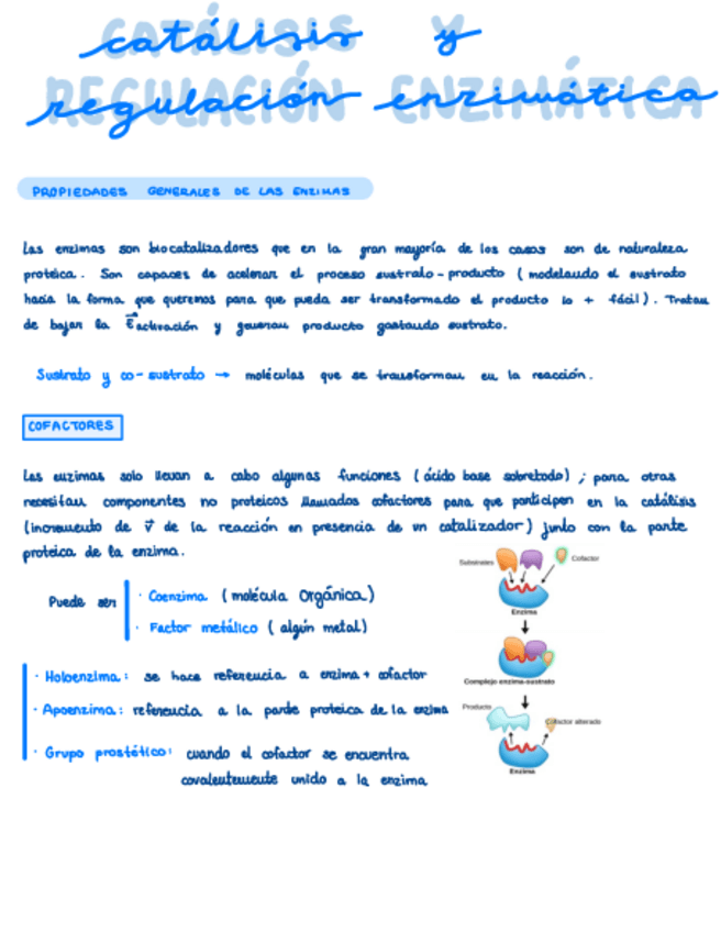Miniatura del documento Catalisis-Y-Regulacion-Enzimatica.pdf