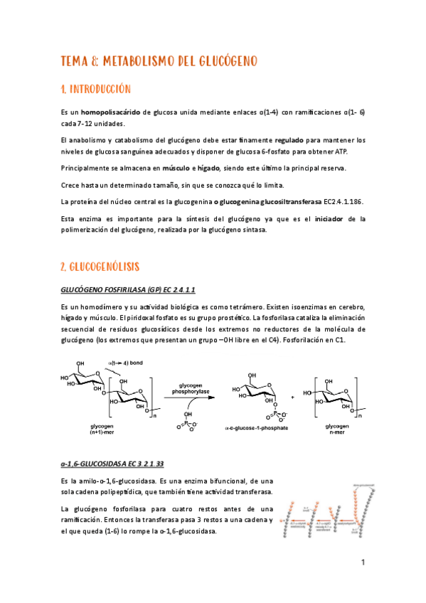 Miniatura del documento tema-8-metabolismo.pdf