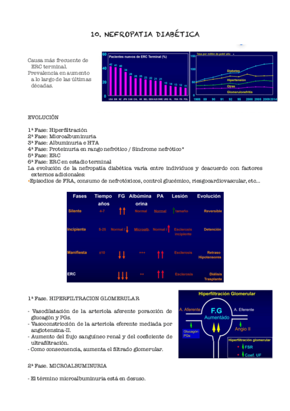 Miniatura del documento 10.NEFROPATIA-diabetica.pdf