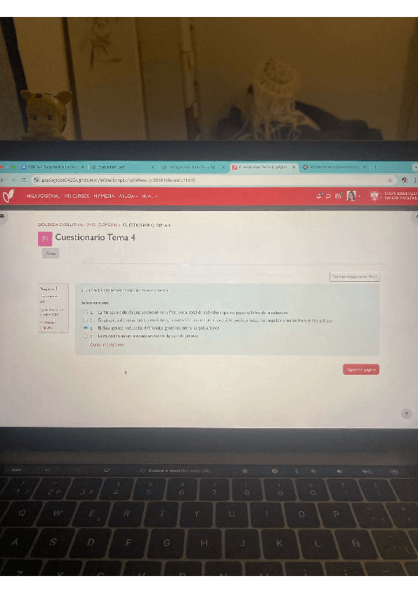 Miniatura del documento cuestionario-T4.pdf