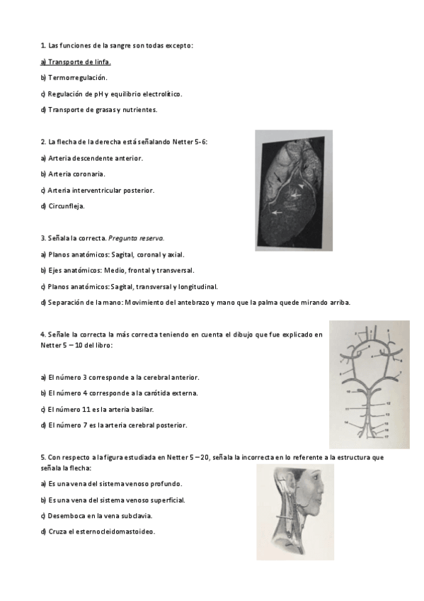 Miniatura del documento Parcial-anato-III-2017.pdf