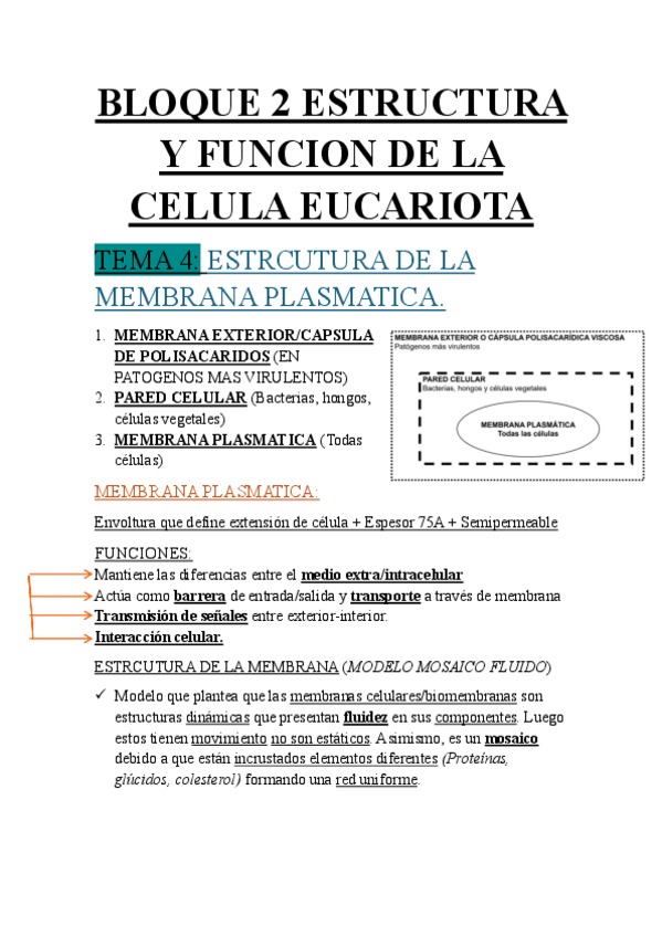 Miniatura del documento BIOLOGIA-CELULAR-BLOQUE-2-TEMAS-3-Y-4-ESTRUCTURA-Y-FUNCION-DE-LA-CELULA-EUCARIOTA.pdf