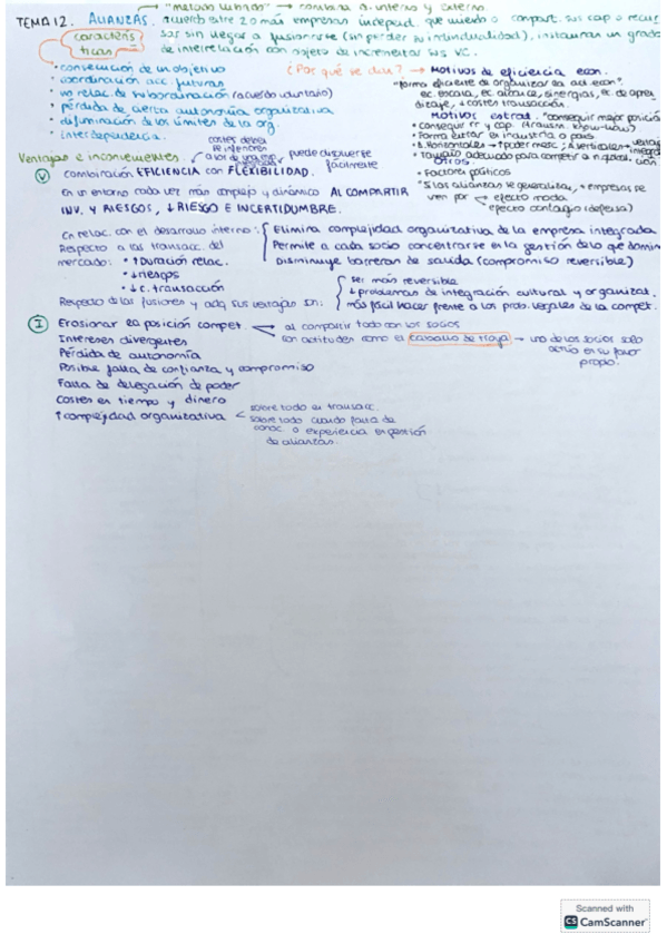 Miniatura del documento Resumen-completado-con-libro-TEMA-12.pdf