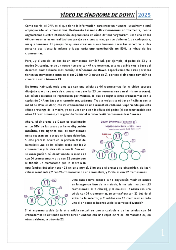 Miniatura del documento Video-de-Sindrome-de-Down.pdf