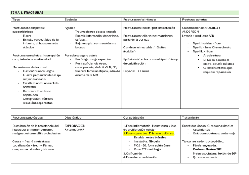 Miniatura del documento Tablas-trauma.pdf