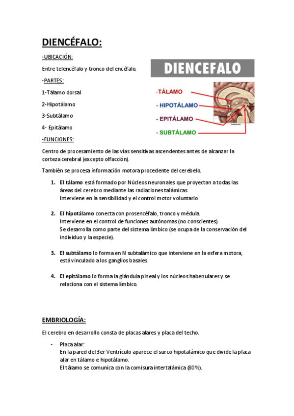 Miniatura del documento DIENCÉFALO.pdf